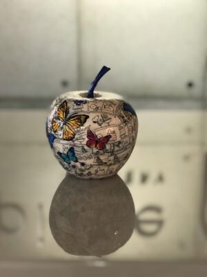 Cartoon Butterfly Apple